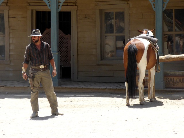 kovboj s koněm